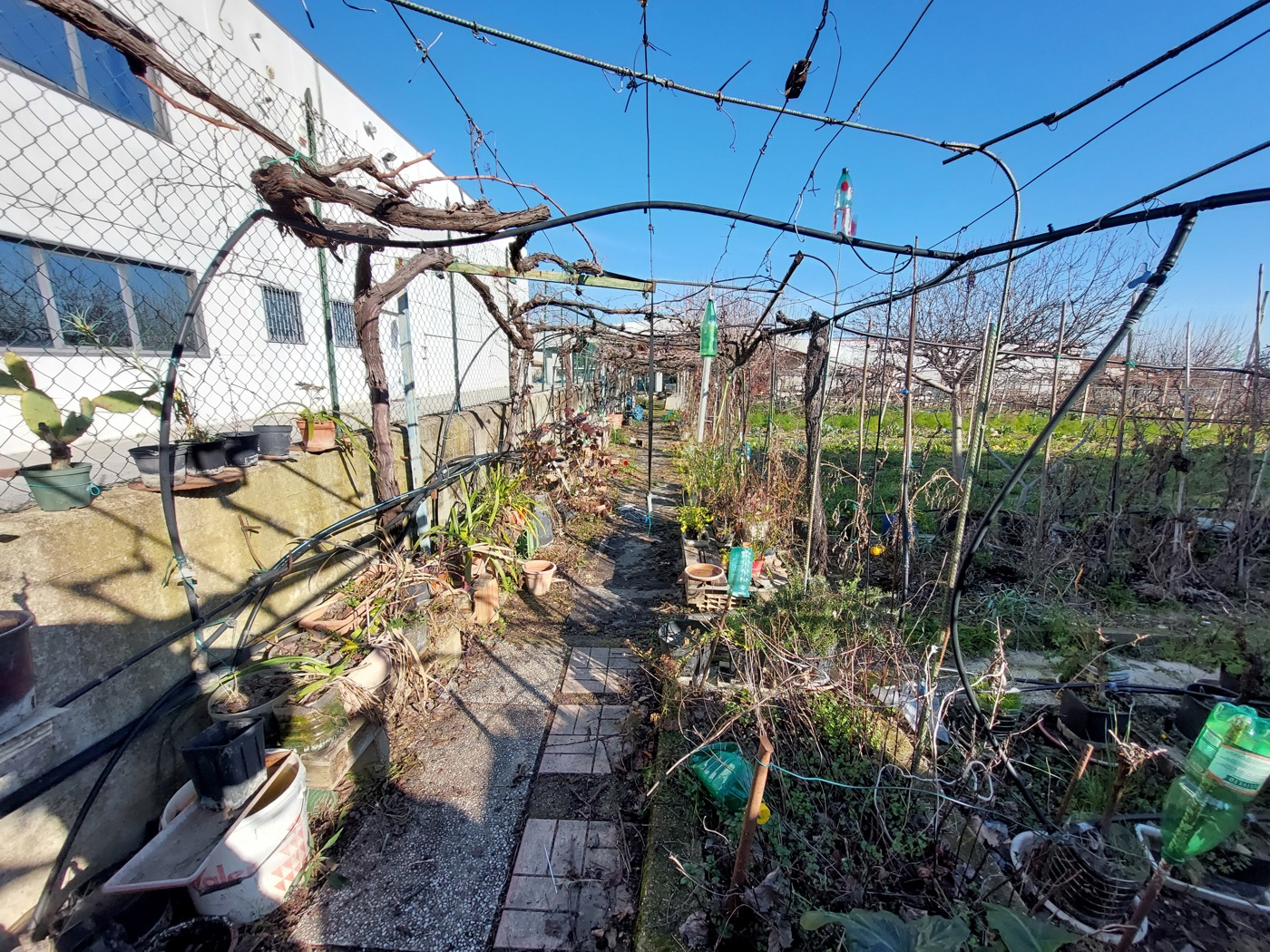 immagine annuncio 5 di 10