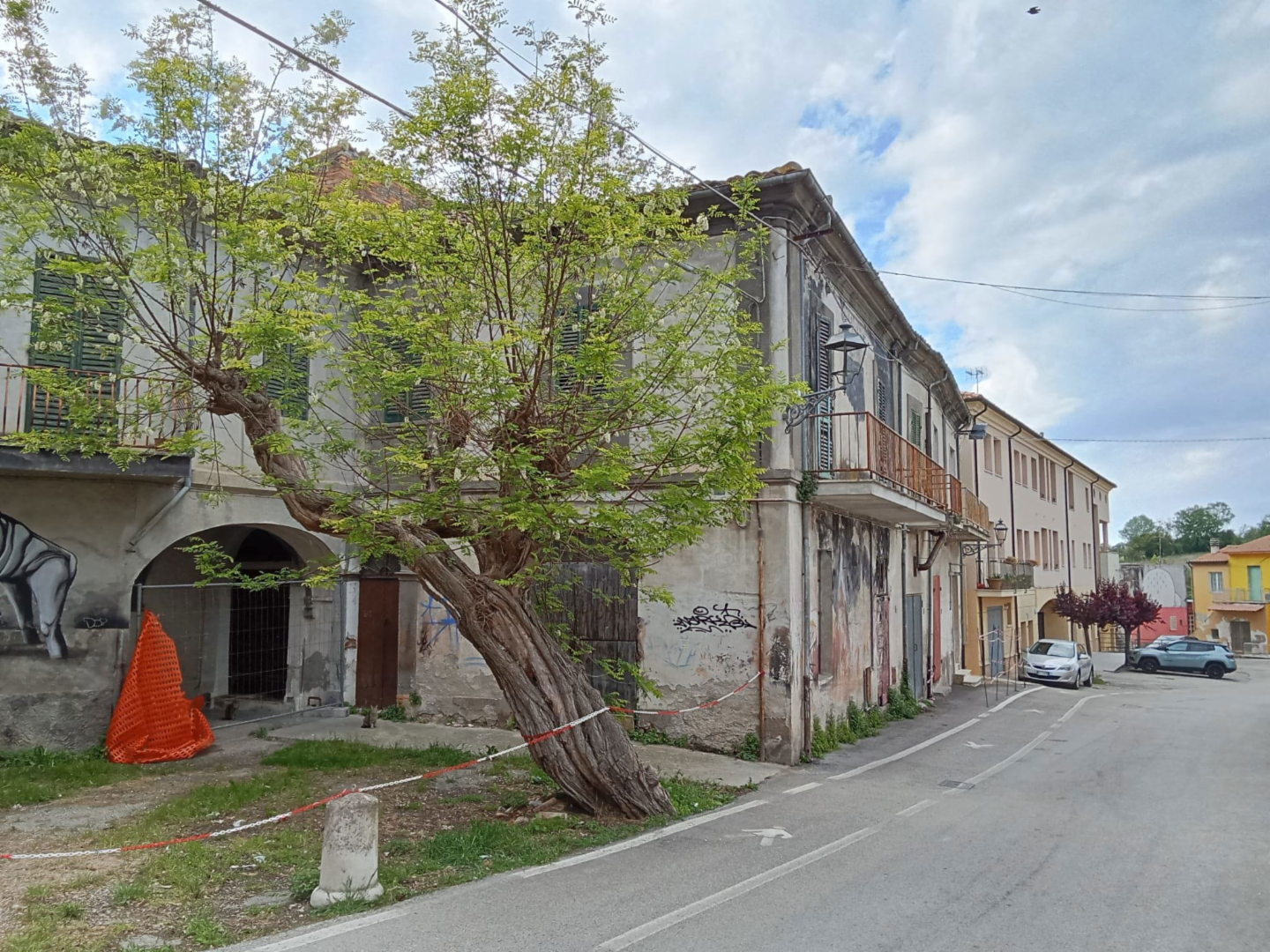 immagine annuncio 3 di 7