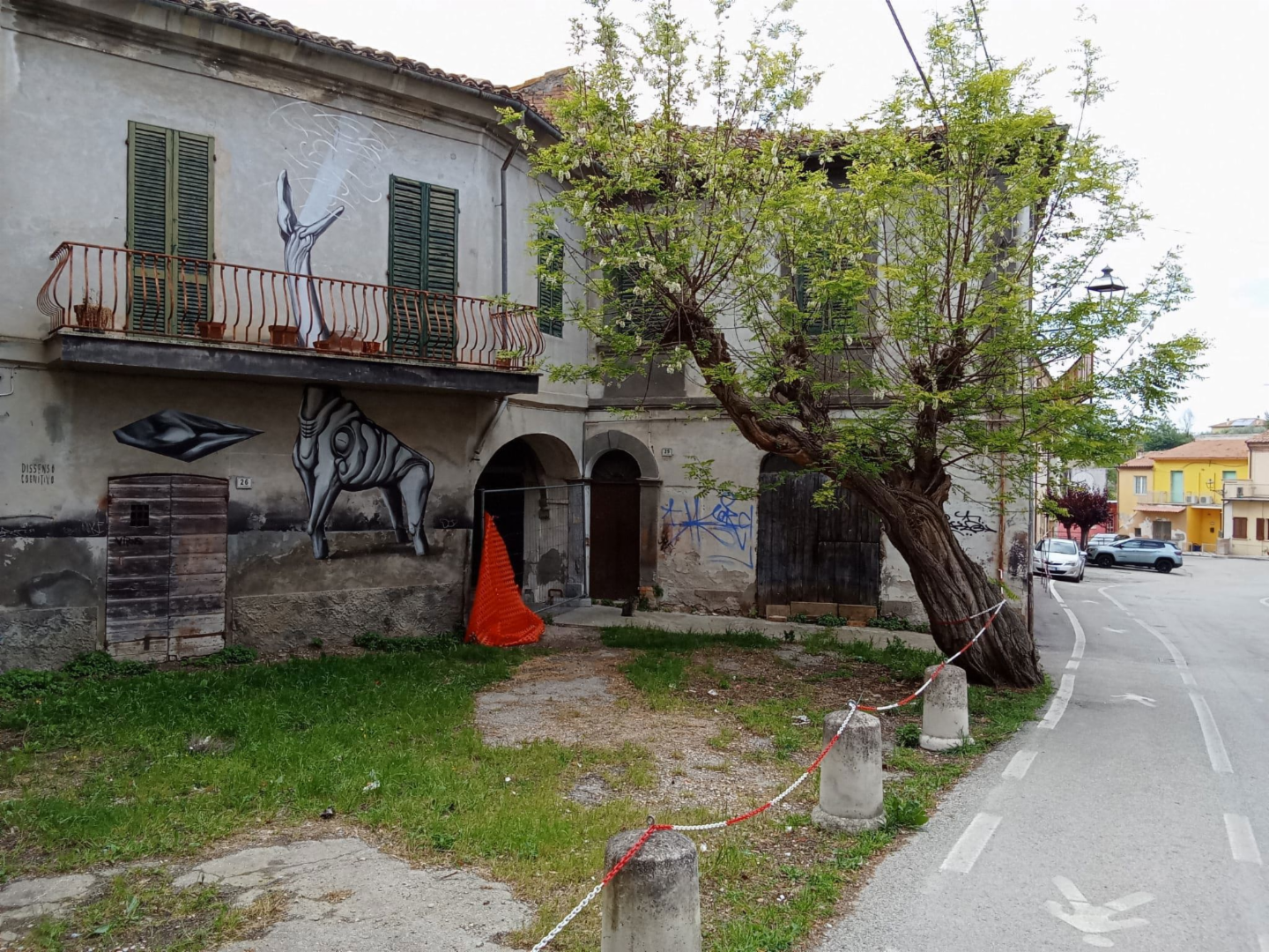 immagine annuncio 5 di 7