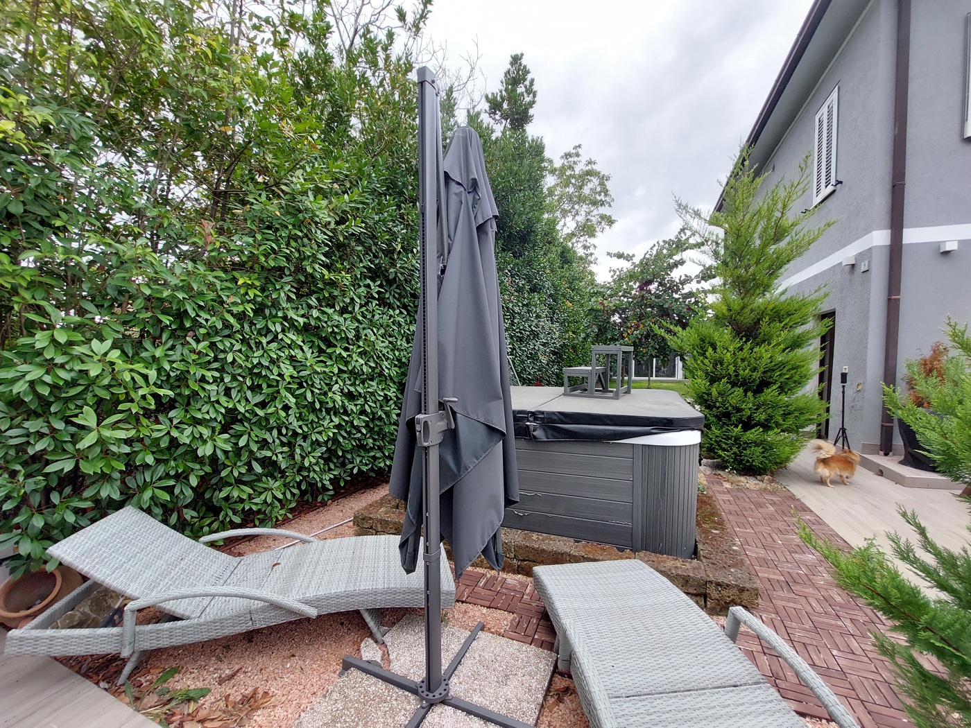 immagine annuncio 7 di 10