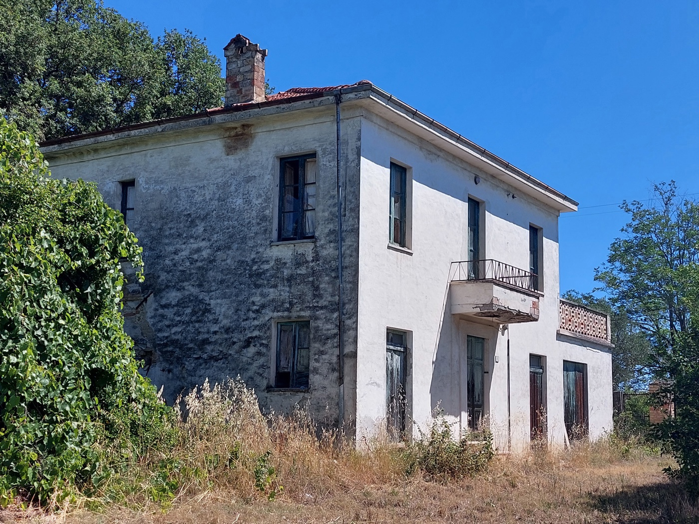 immagine annuncio 2 di 6