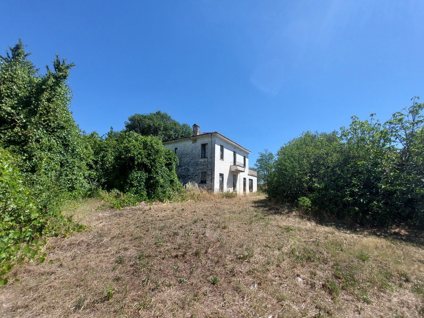 immagine annuncio 5 di 6