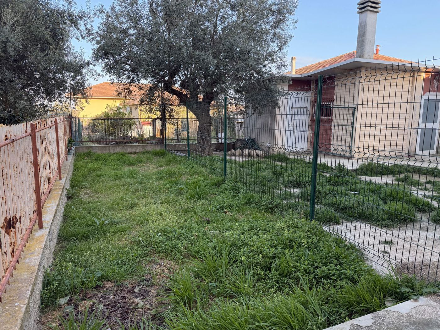 immagine annuncio 4 di 10