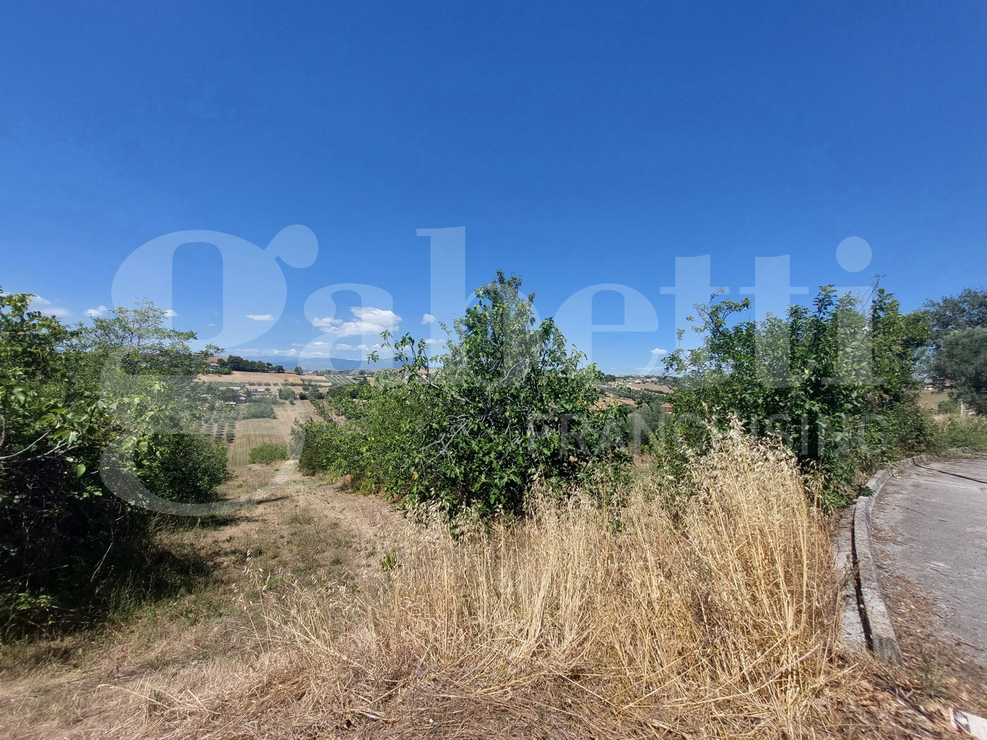 immagine annuncio 1 di 4