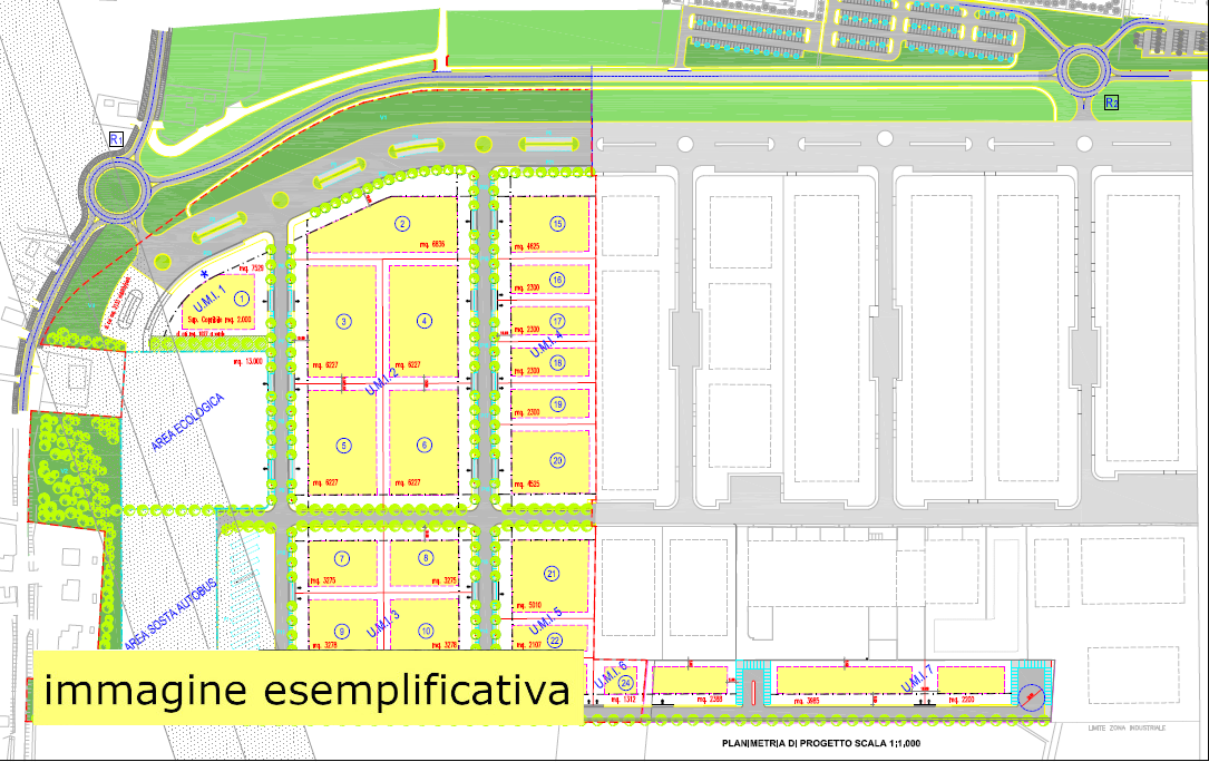immagine annuncio 6 di 10