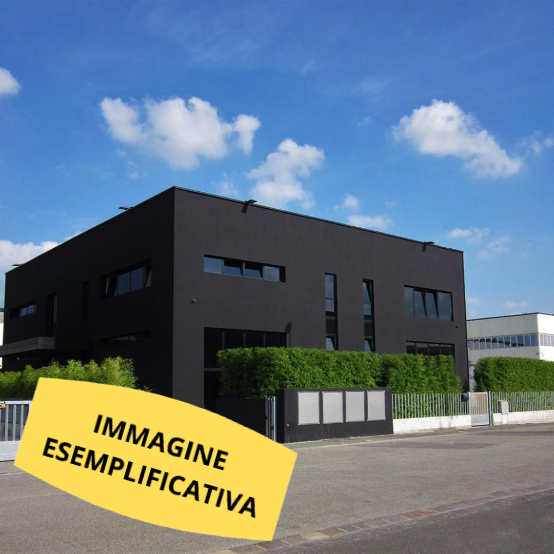 immagine annuncio 2 di 10