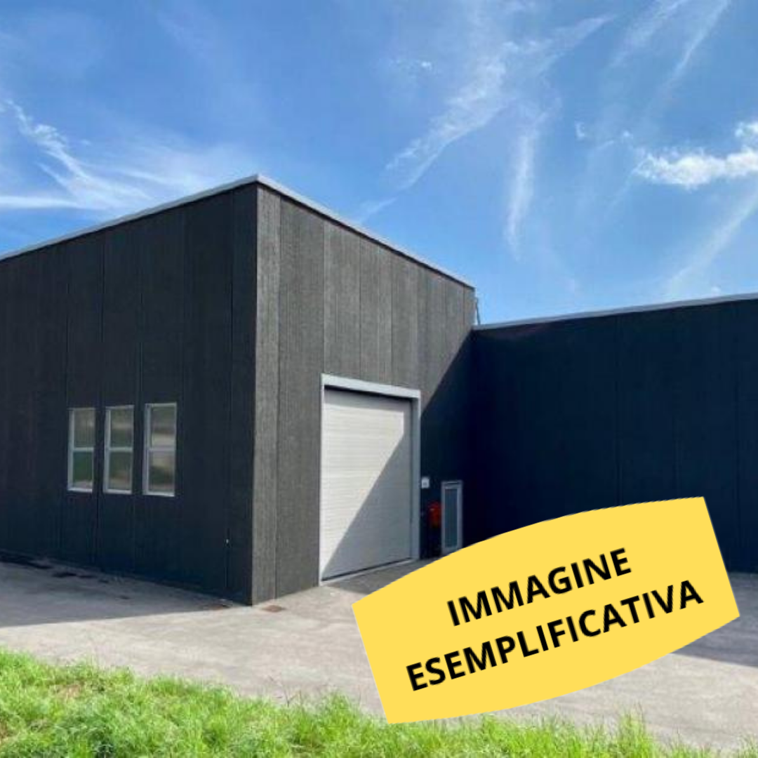 immagine annuncio 5 di 10