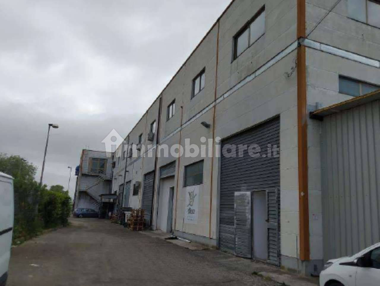 immagine annuncio 2 di 3