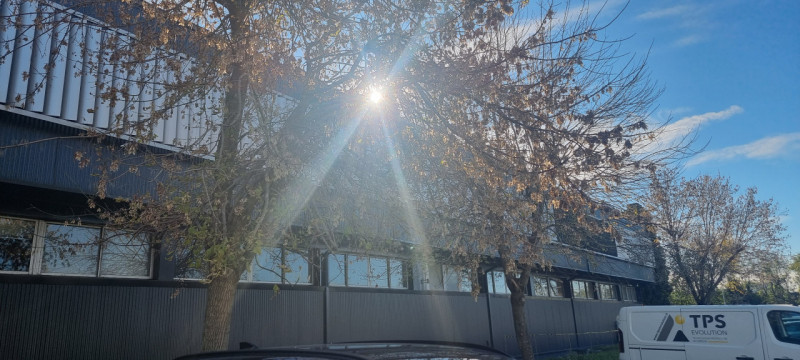 immagine annuncio 2 di 7