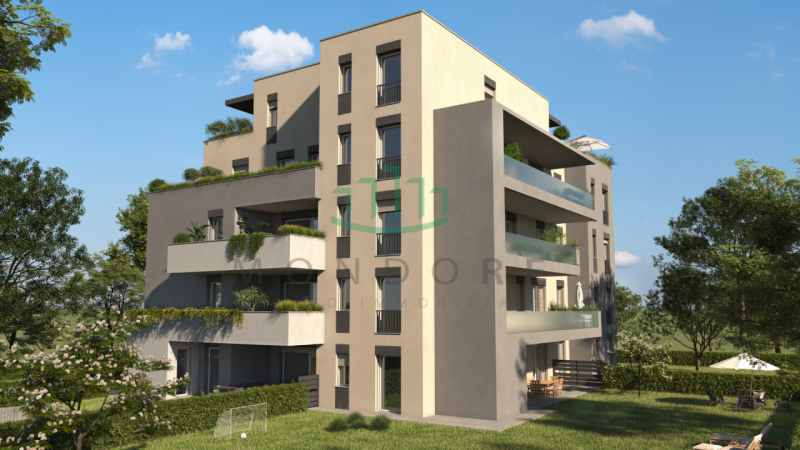 immagine annuncio 2 di 7