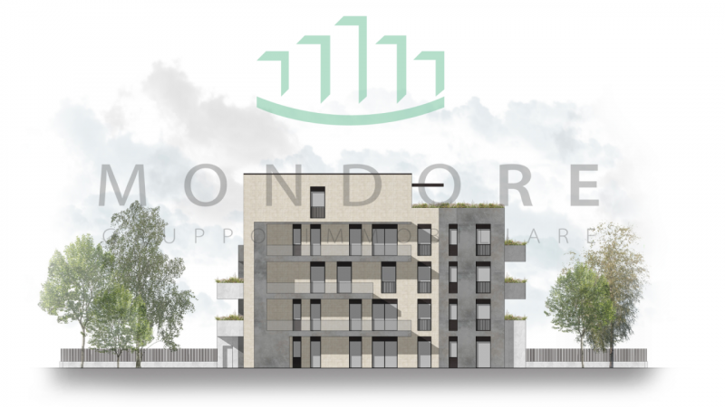 immagine annuncio 3 di 7