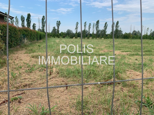immagine annuncio 5 di 8