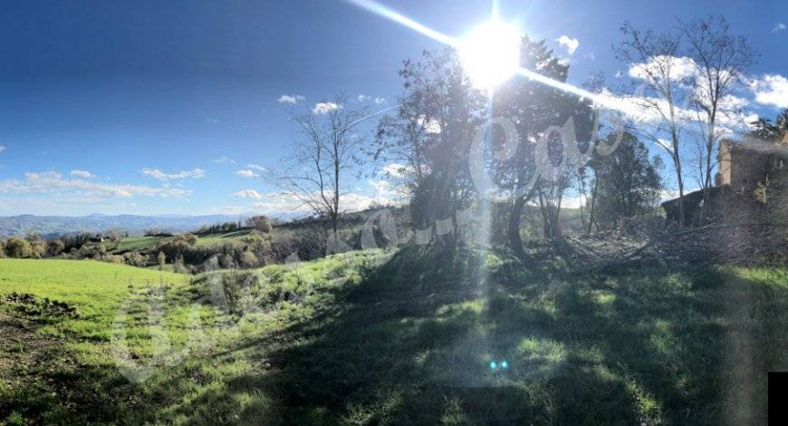 immagine annuncio 5 di 6