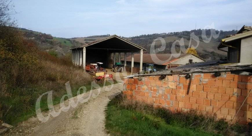 immagine annuncio 0 di 6