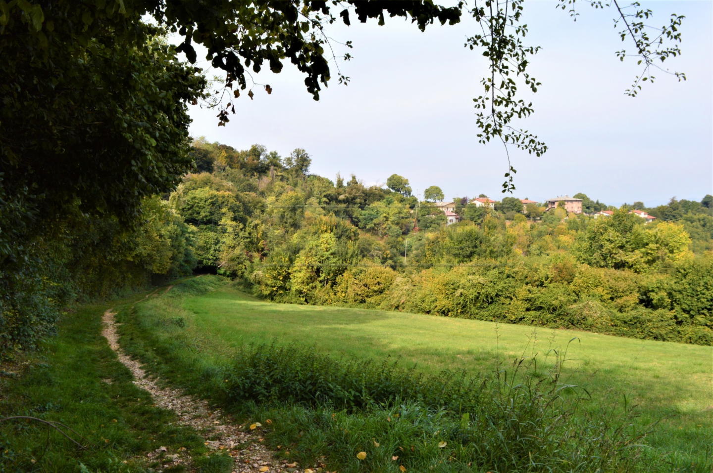 immagine annuncio 2 di 3