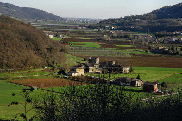 immagine annuncio 2 di 3