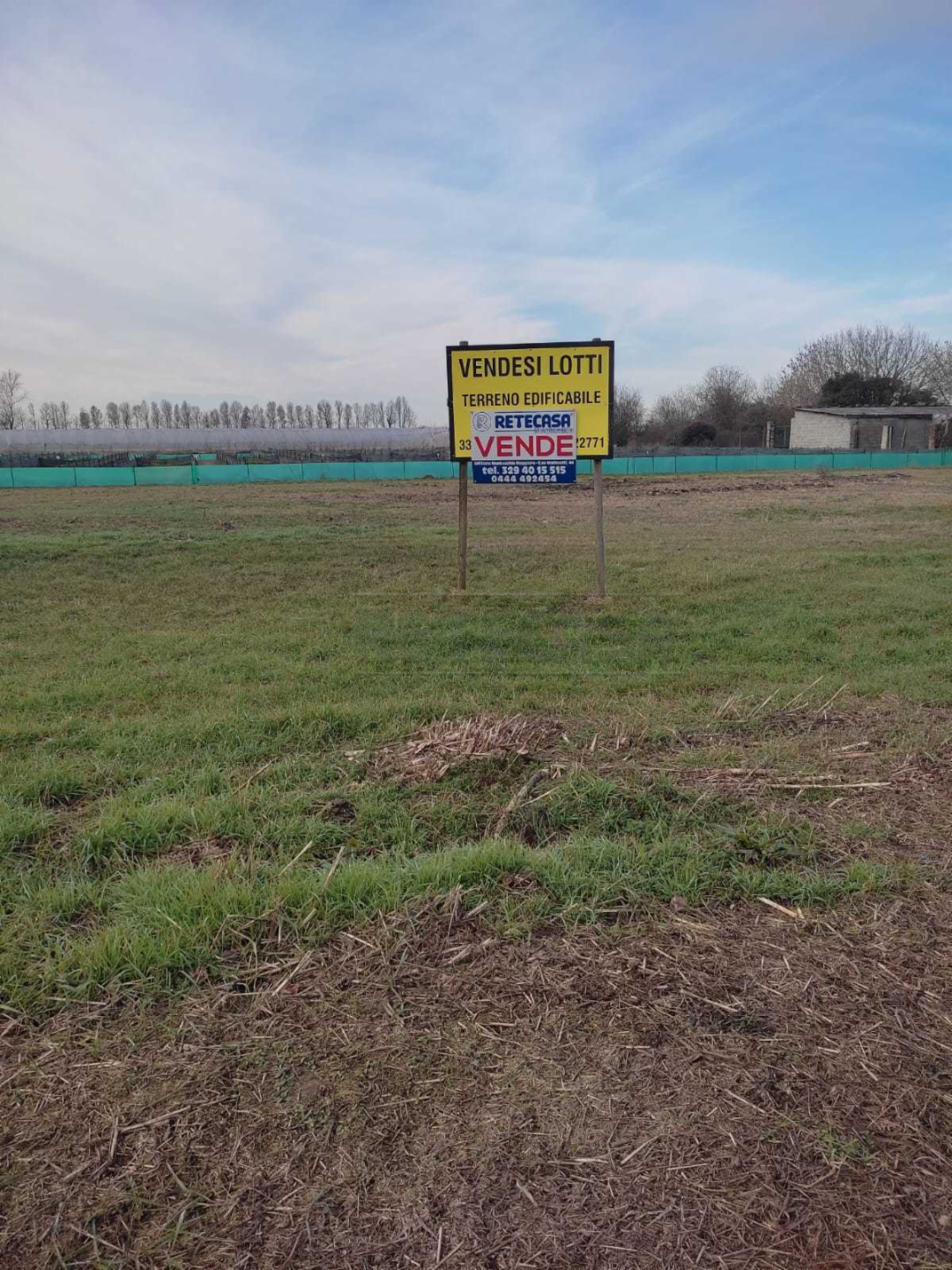 immagine annuncio 1 di 10