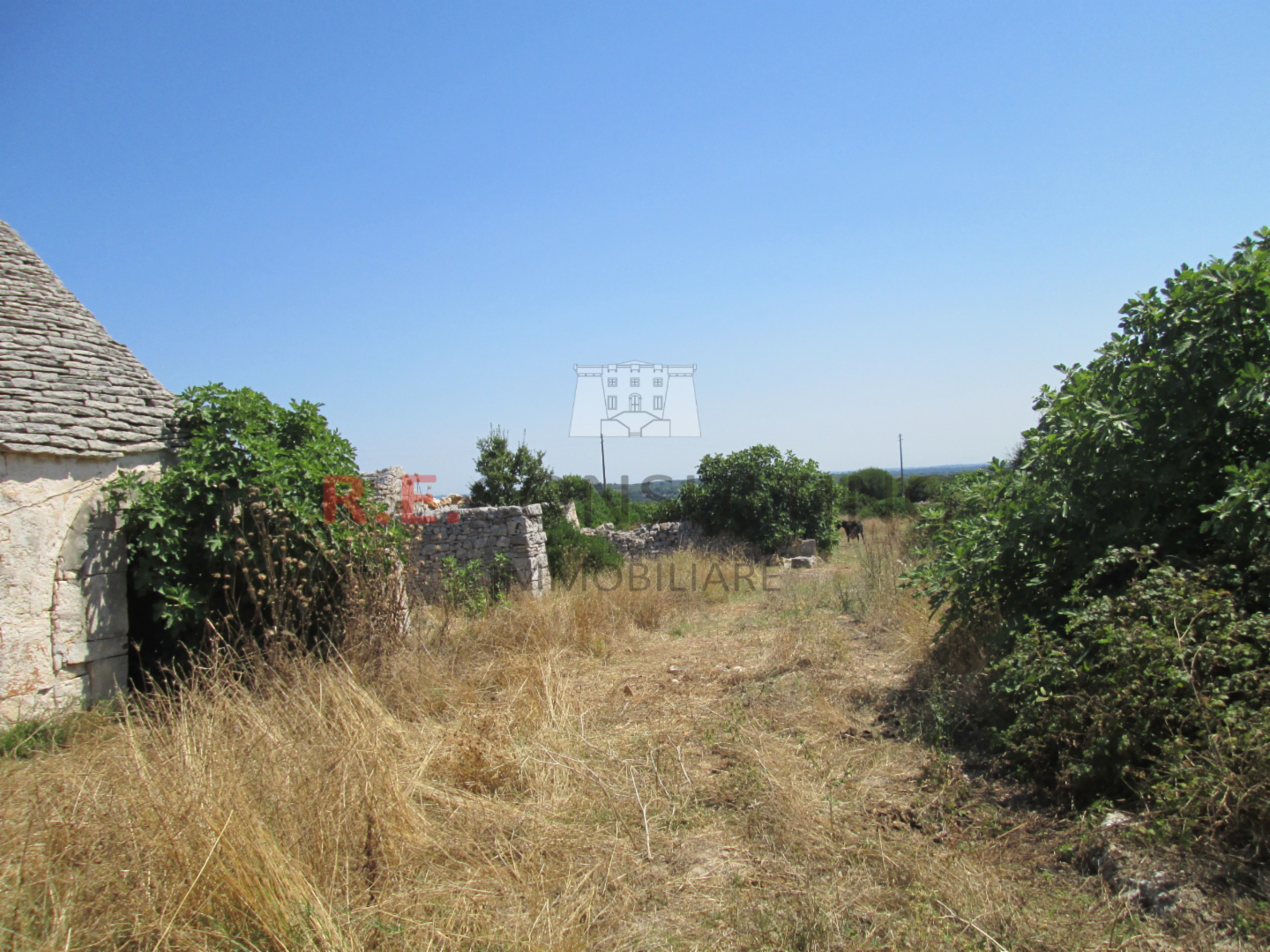 immagine annuncio 6 di 8