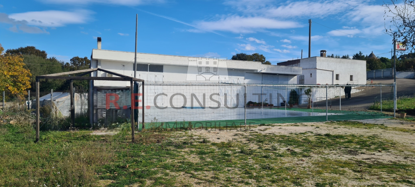 immagine annuncio 1 di 10