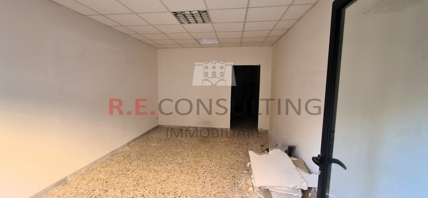immagine annuncio 0 di 8