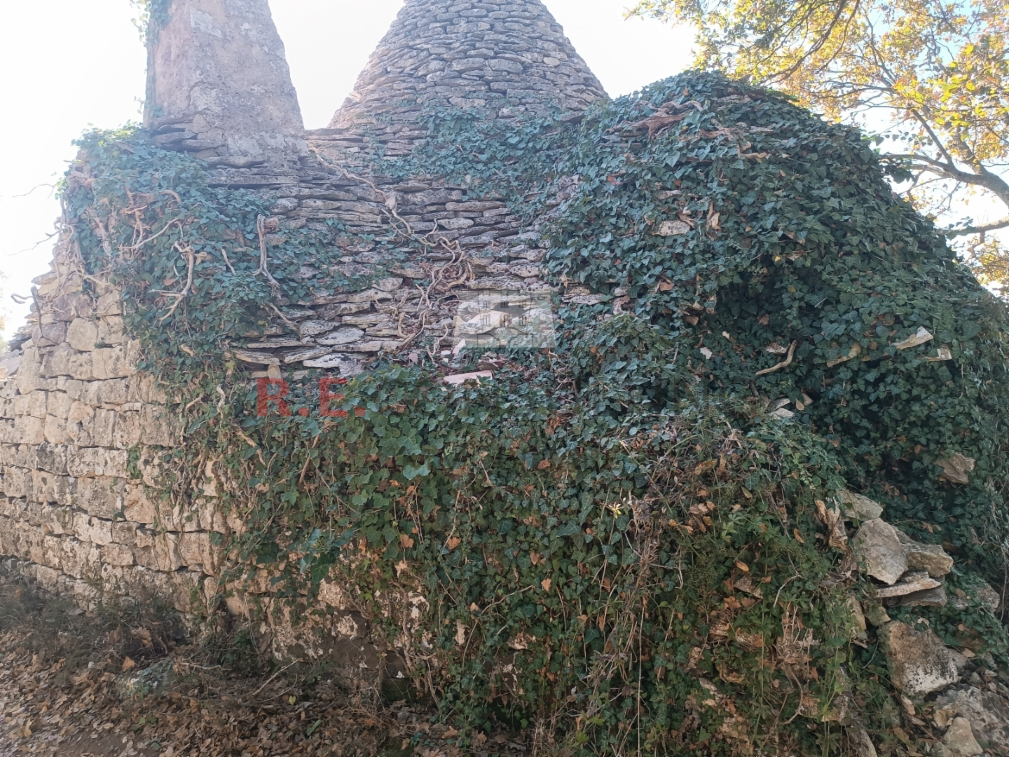 immagine annuncio 3 di 6
