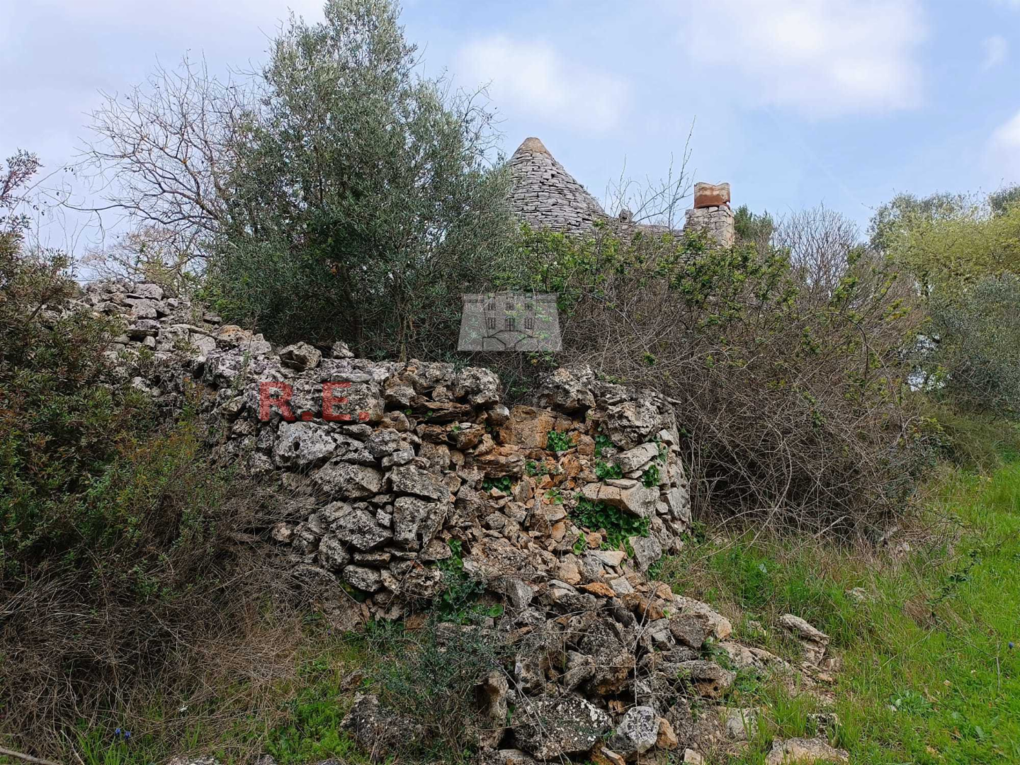 immagine annuncio 6 di 8