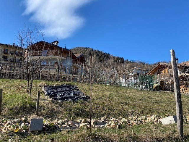 terreno agricolo in vendita ad Altopiano della Vigolana in zona Centa San Nicolò