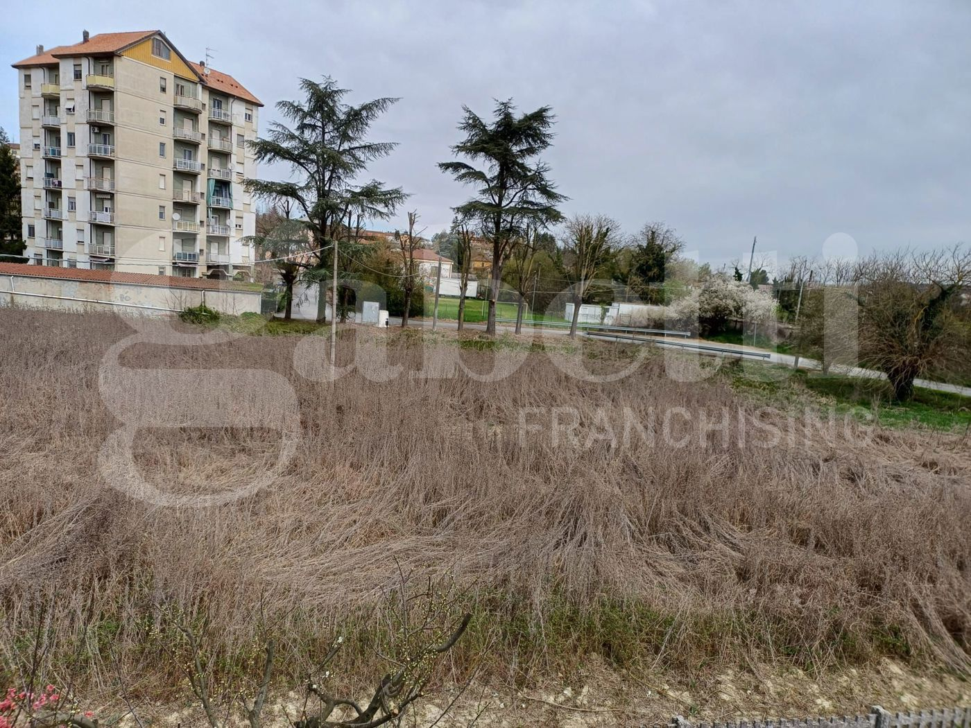 immagine annuncio 1 di 8