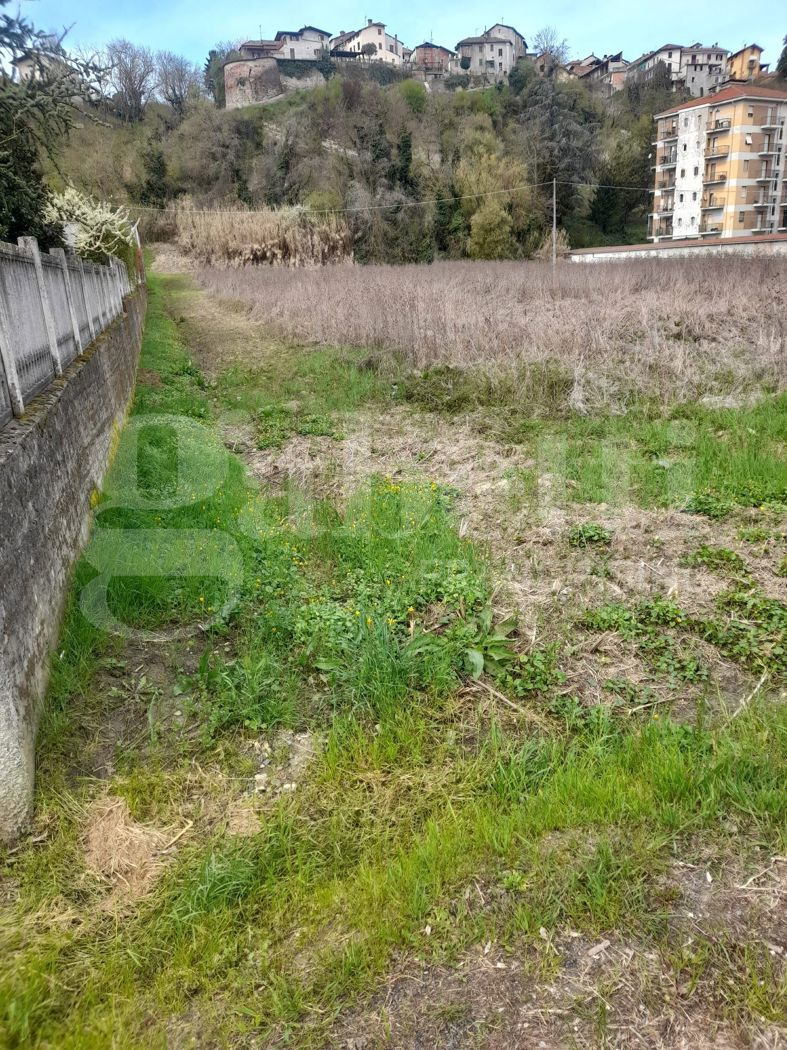 immagine annuncio 4 di 8