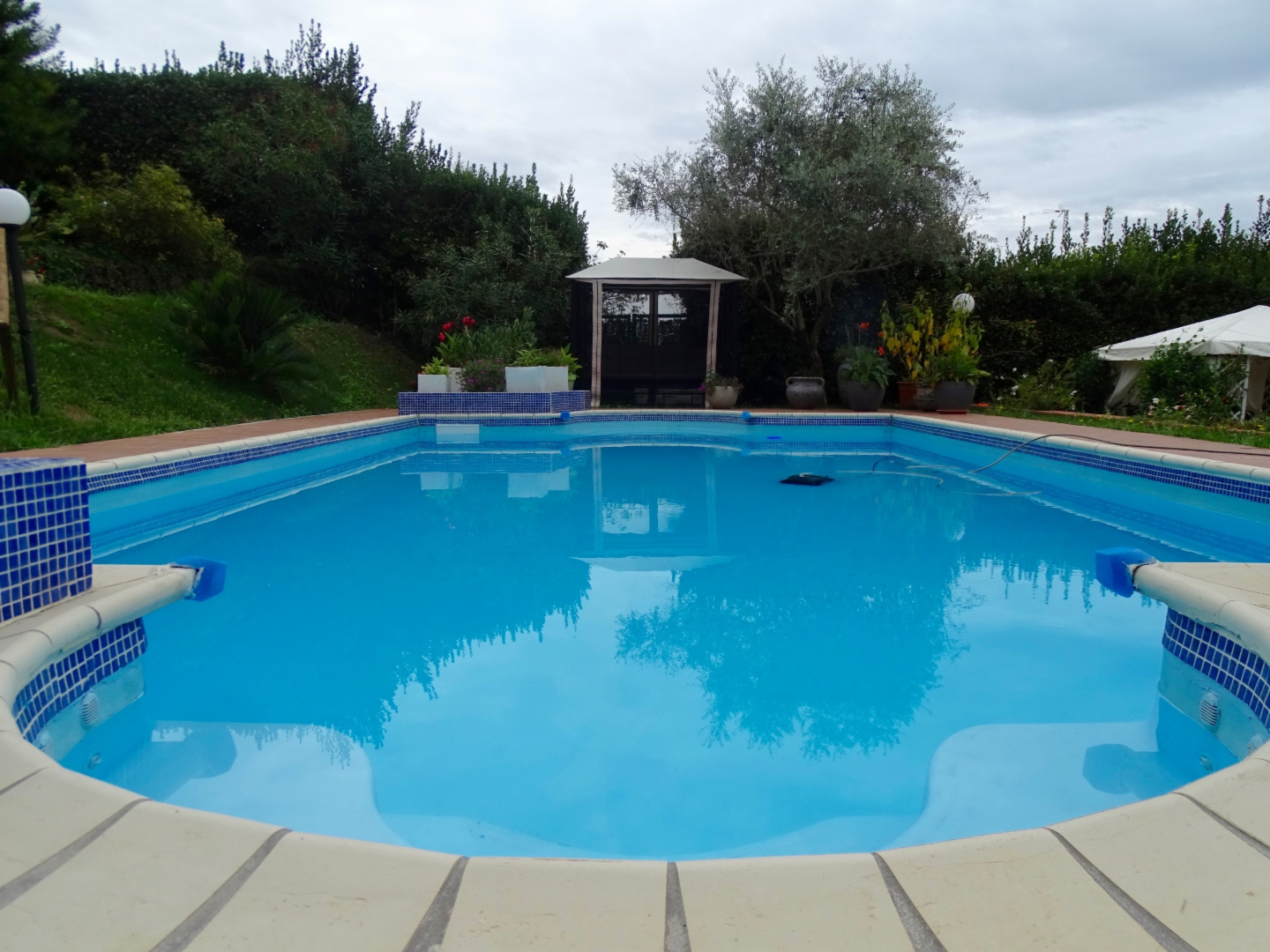 immagine annuncio 5 di 10