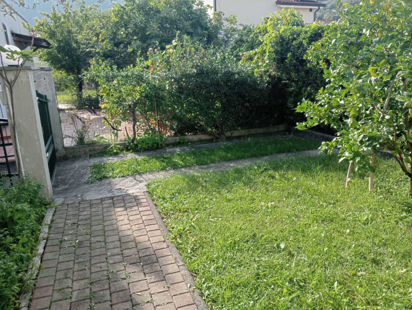 immagine annuncio 4 di 10