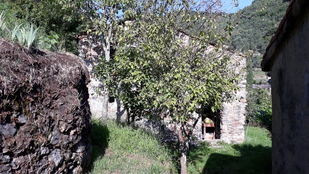 immagine annuncio 2 di 8