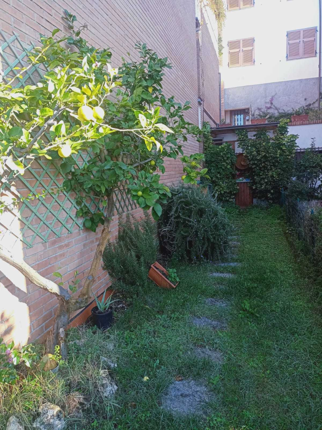immagine annuncio 1 di 10