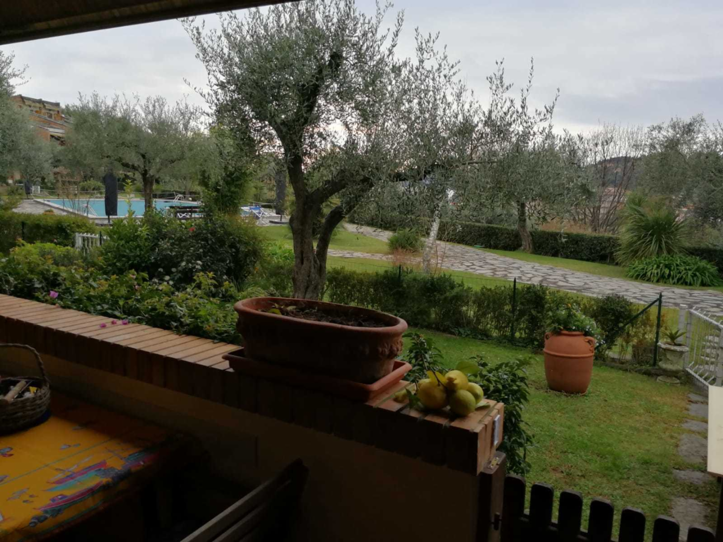 immagine annuncio 6 di 10