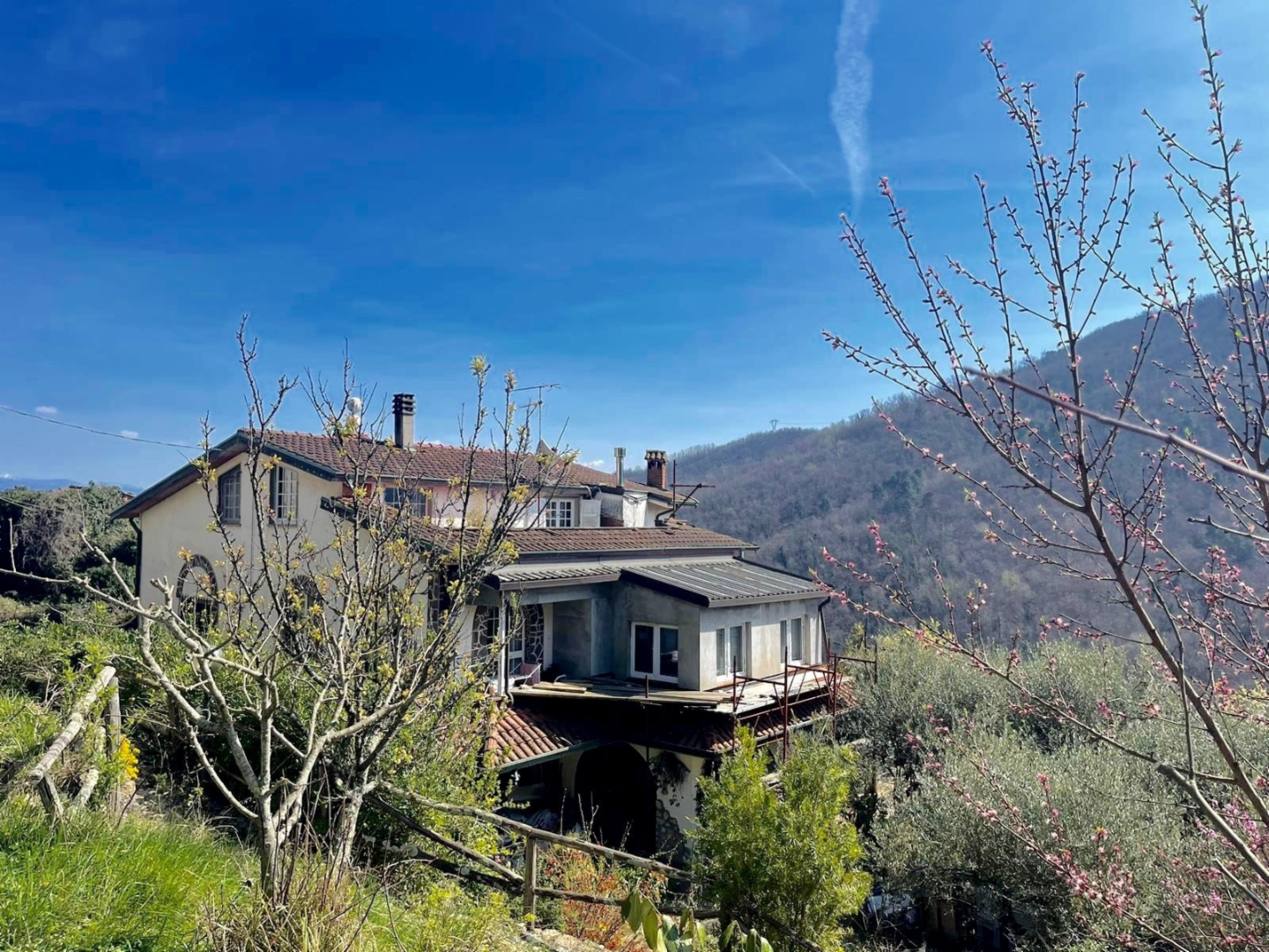 immagine annuncio 2 di 10