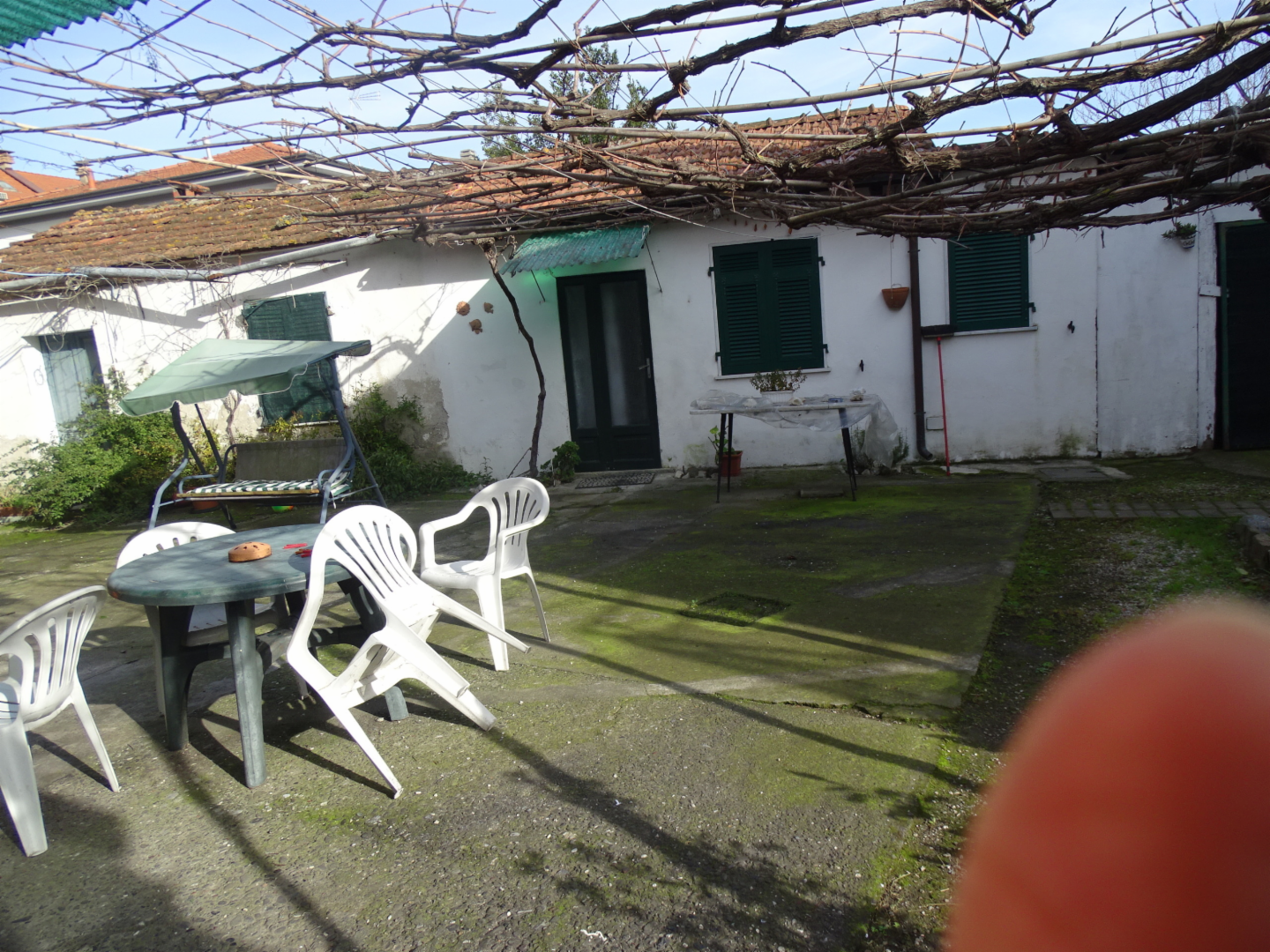 immagine annuncio 3 di 6