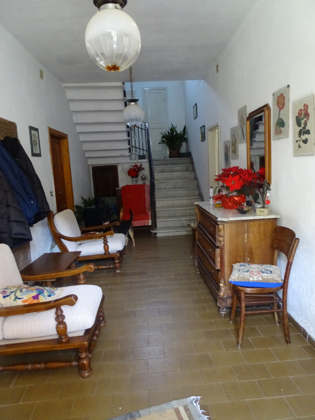 immagine annuncio 5 di 6