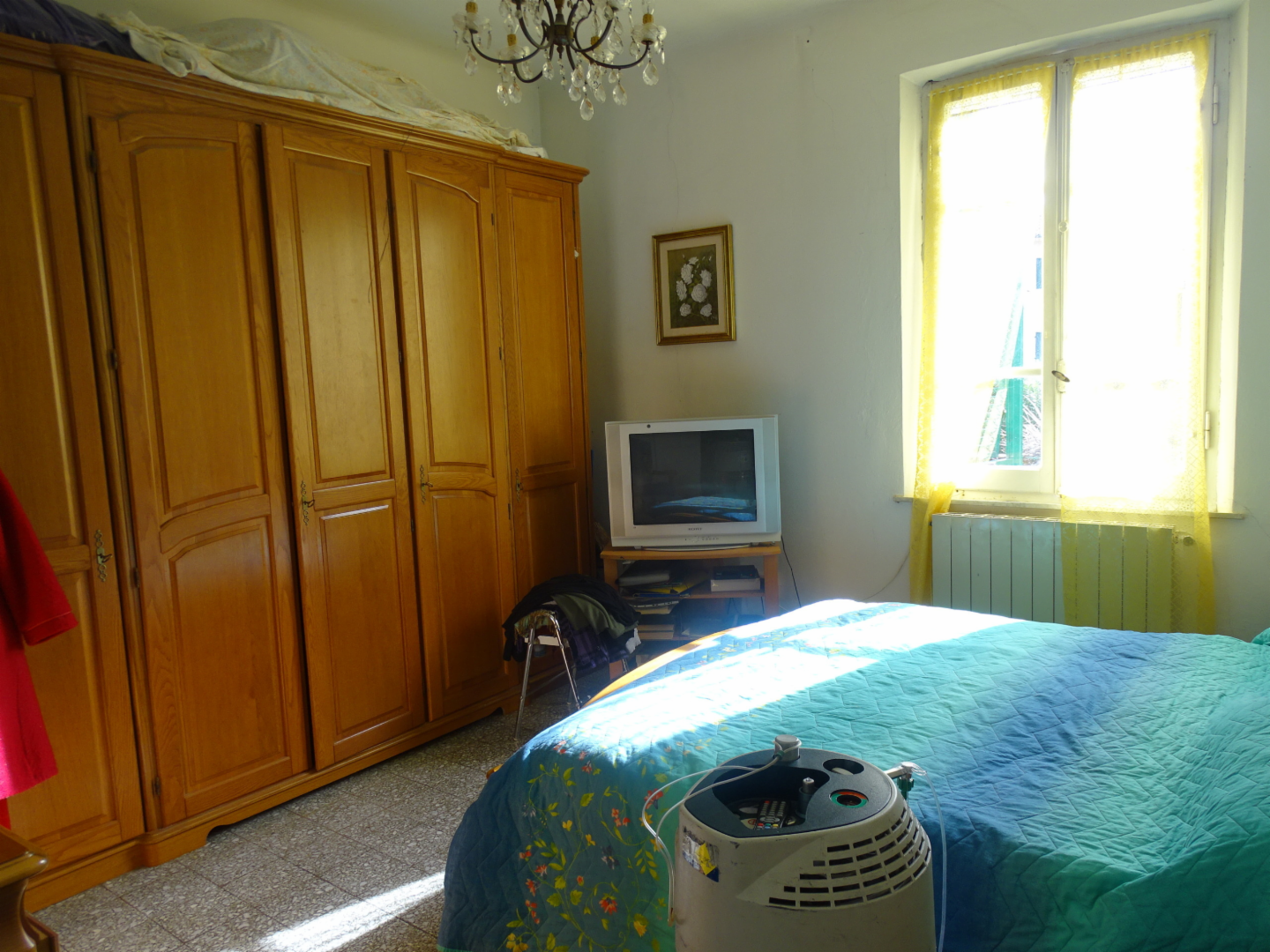 immagine annuncio 4 di 6