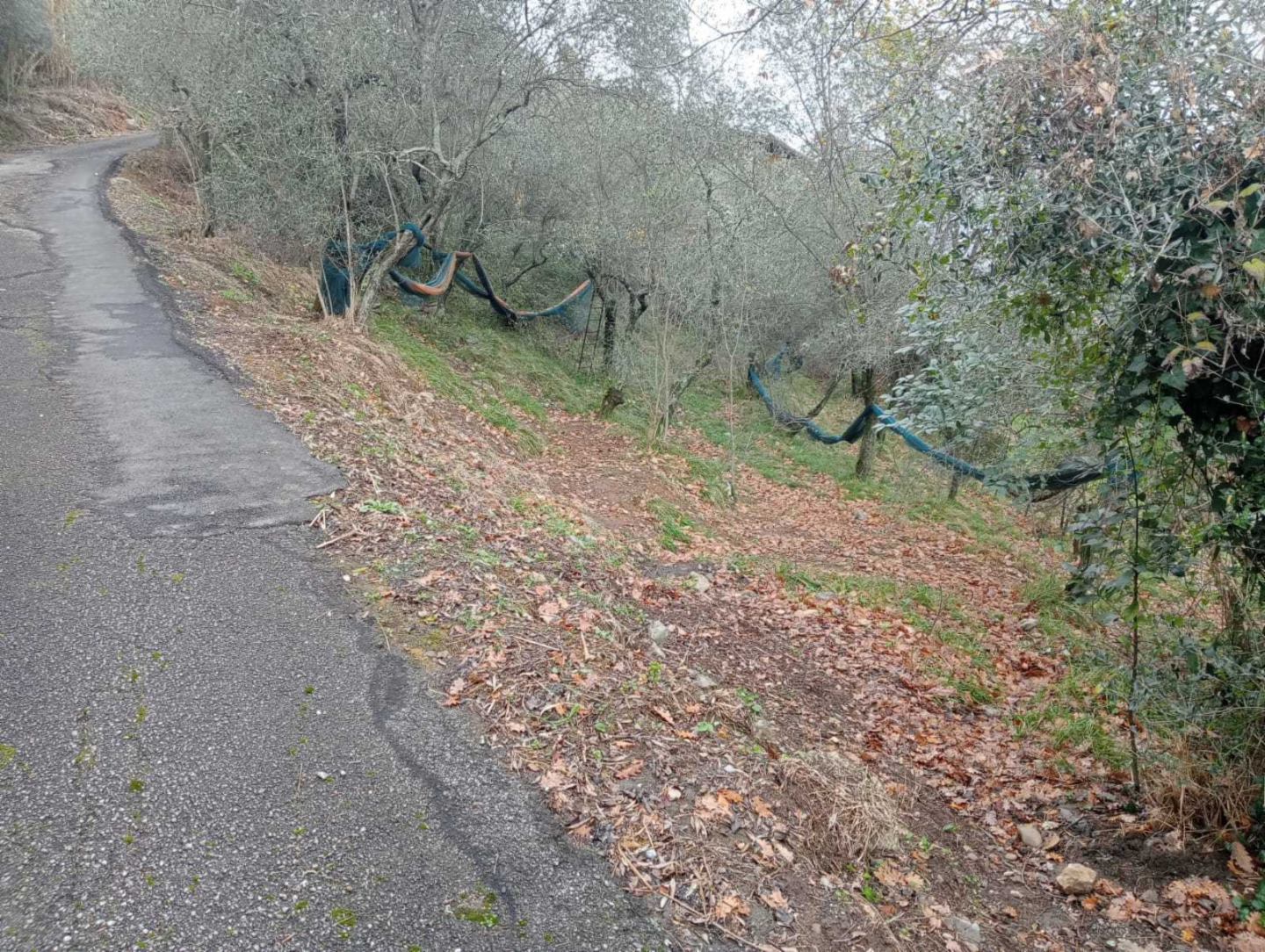 immagine annuncio 2 di 8
