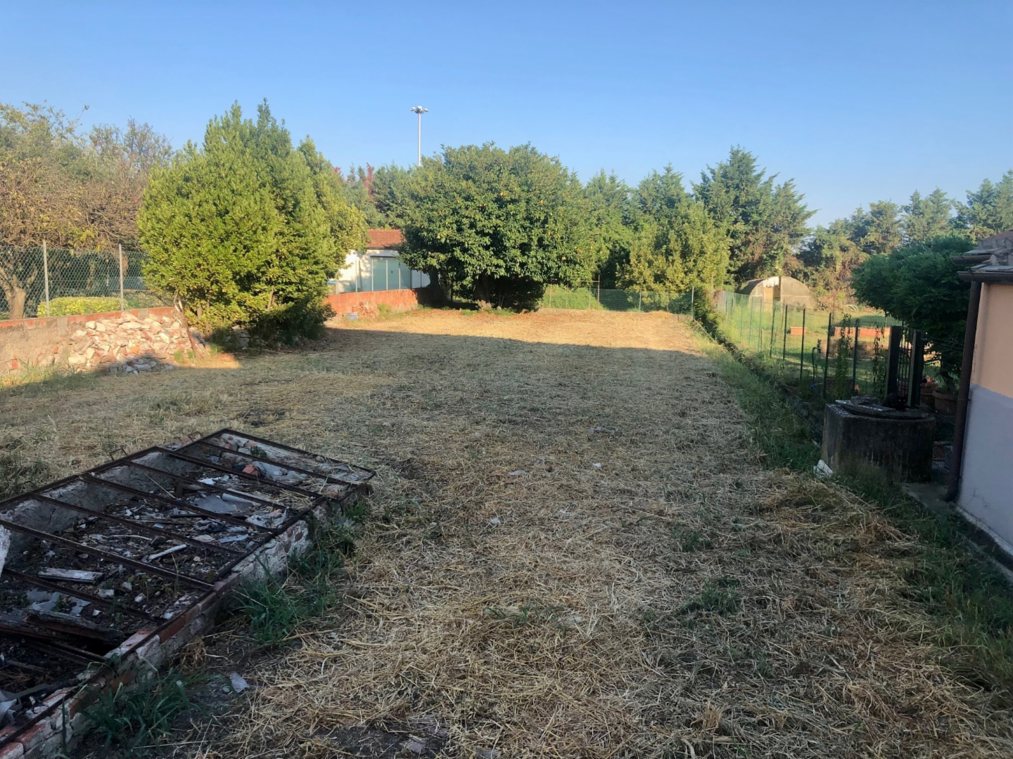 immagine annuncio 3 di 6