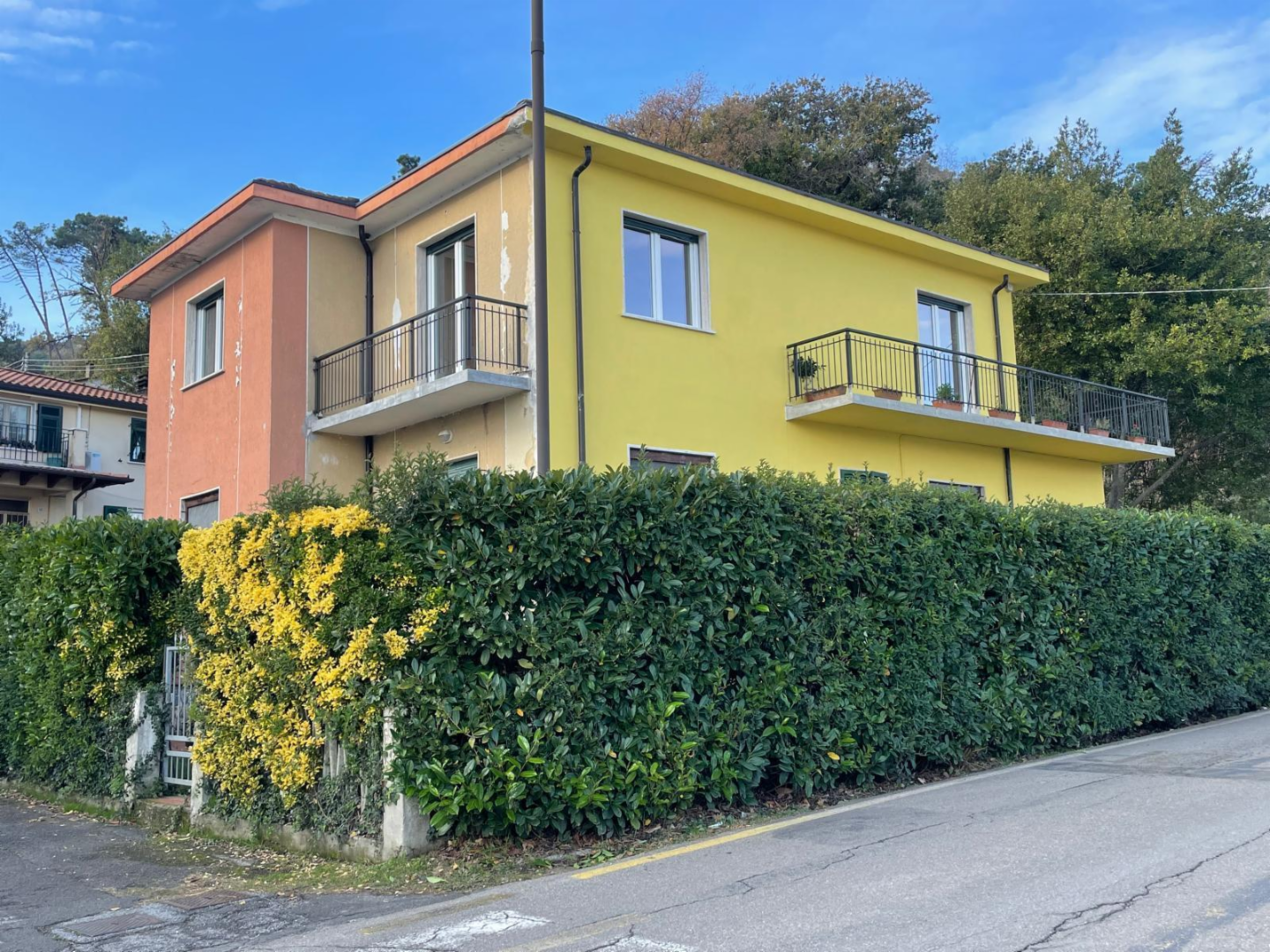 immagine annuncio 3 di 10