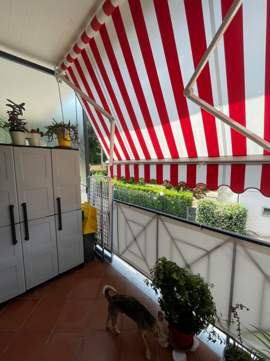 immagine annuncio 4 di 10