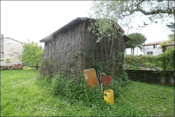 immagine annuncio 2 di 3