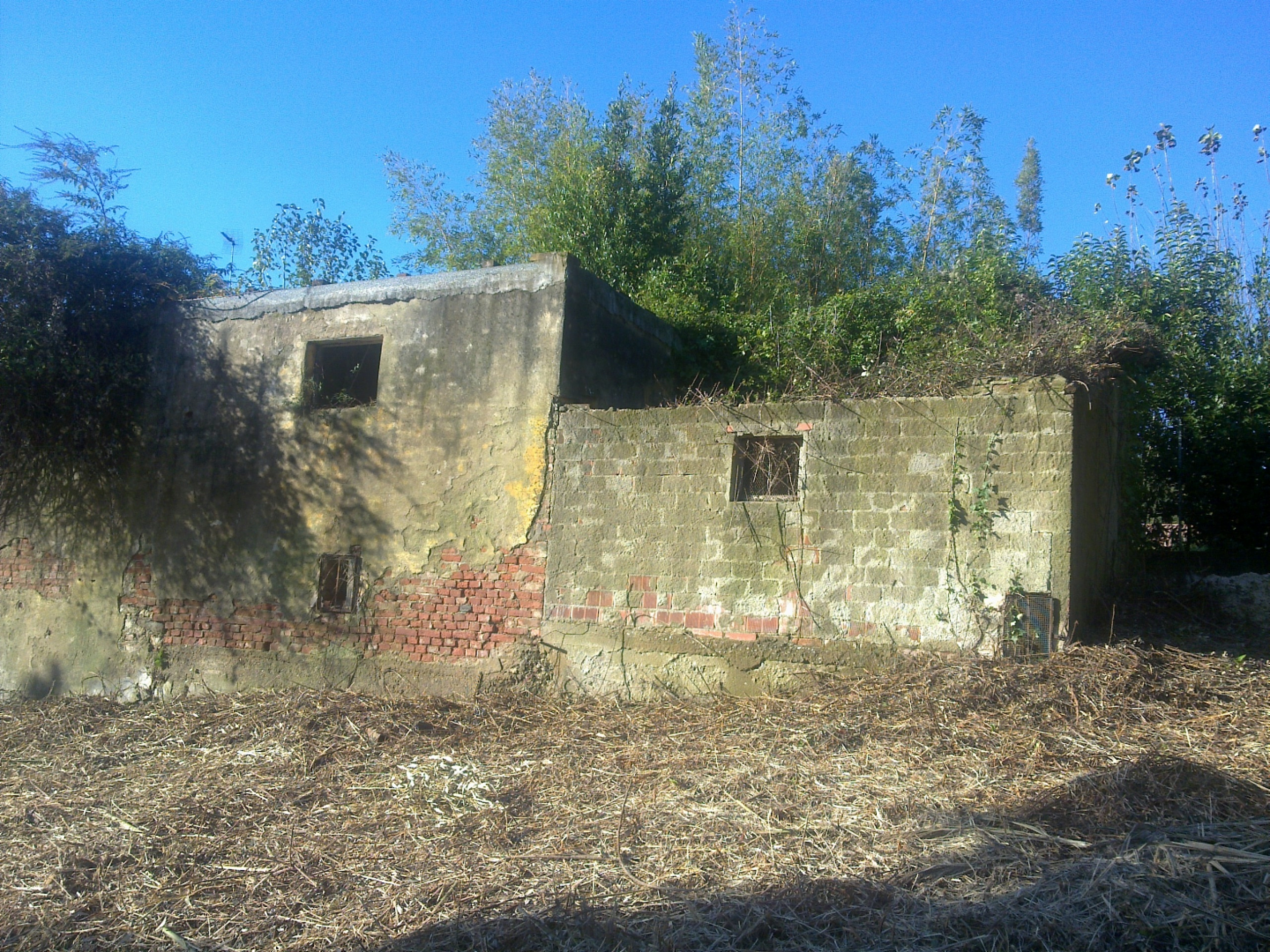 immagine annuncio 3 di 6