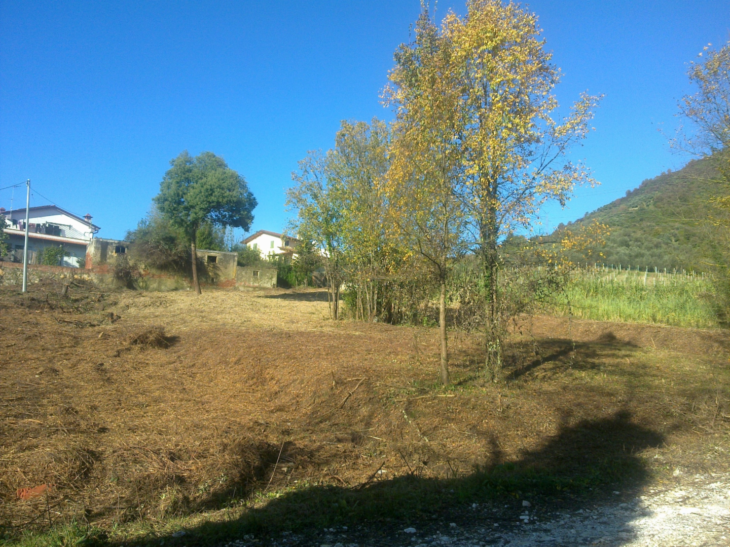 immagine annuncio 5 di 6