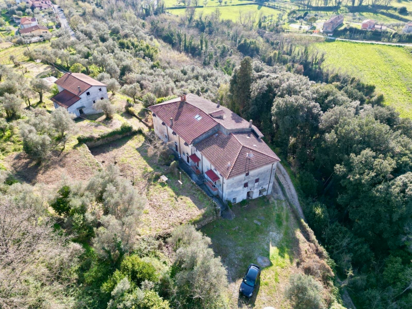 immagine annuncio 2 di 10