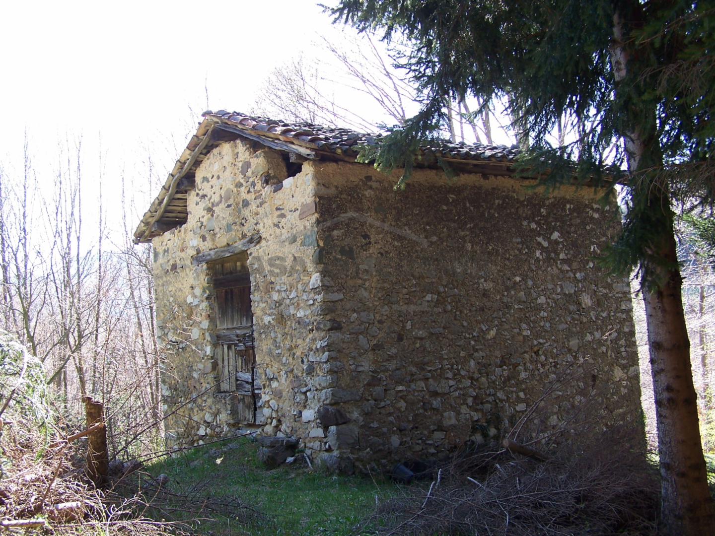 immagine annuncio 1 di 8