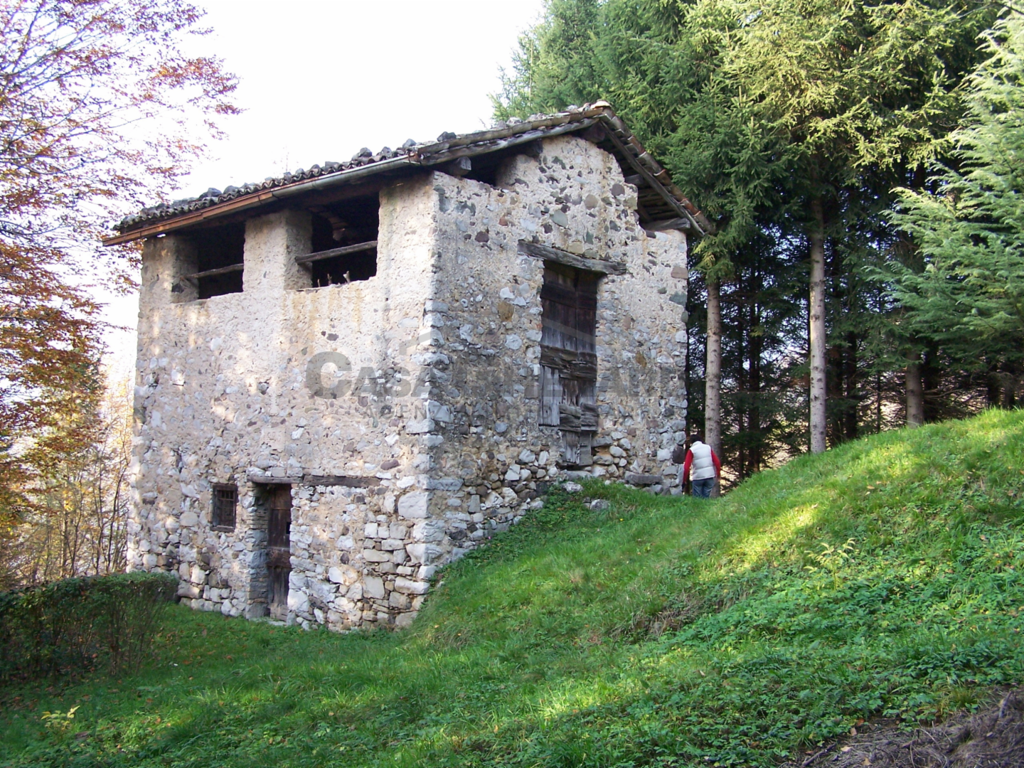 immagine annuncio 3 di 8
