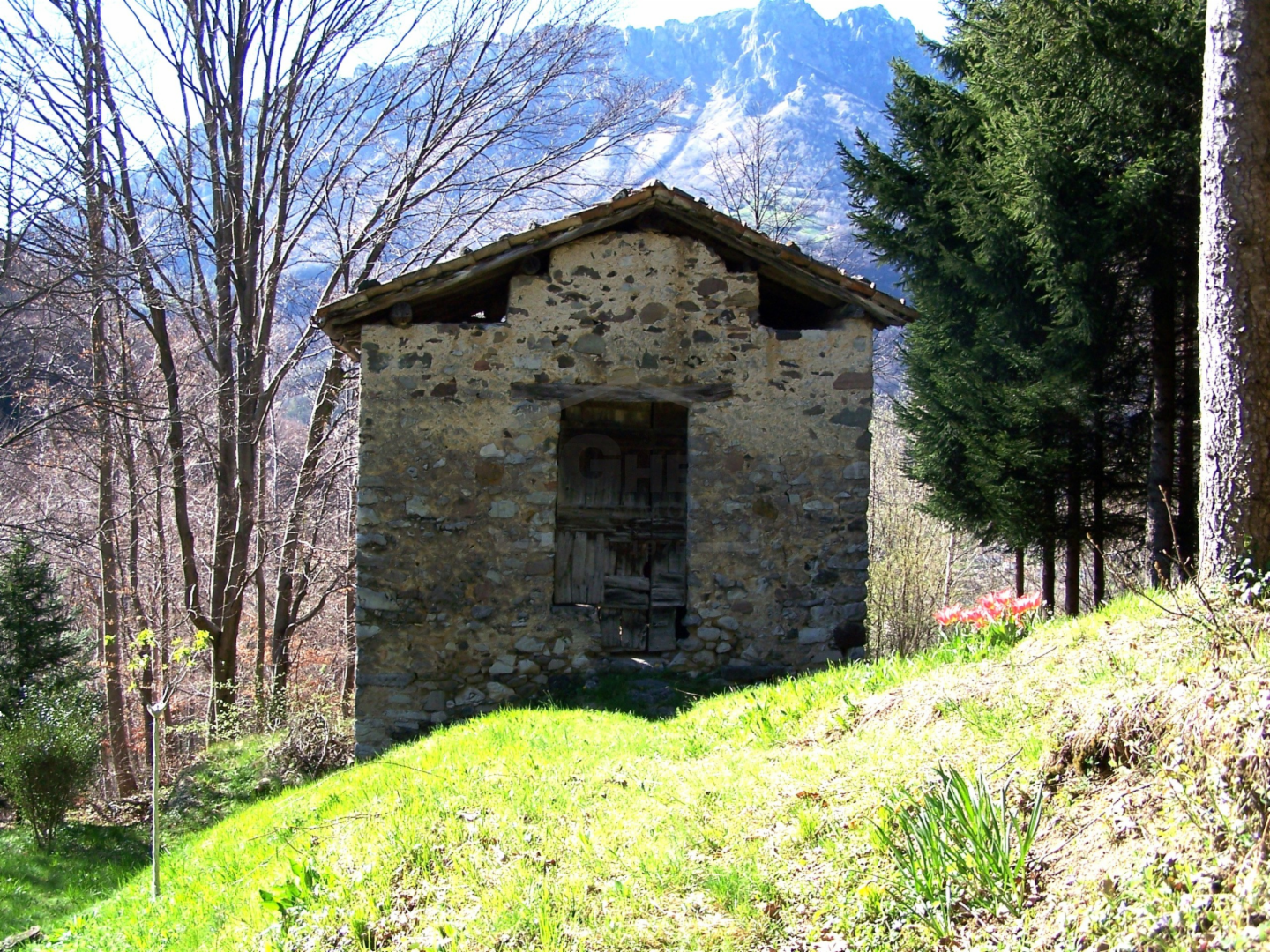 immagine annuncio 6 di 8