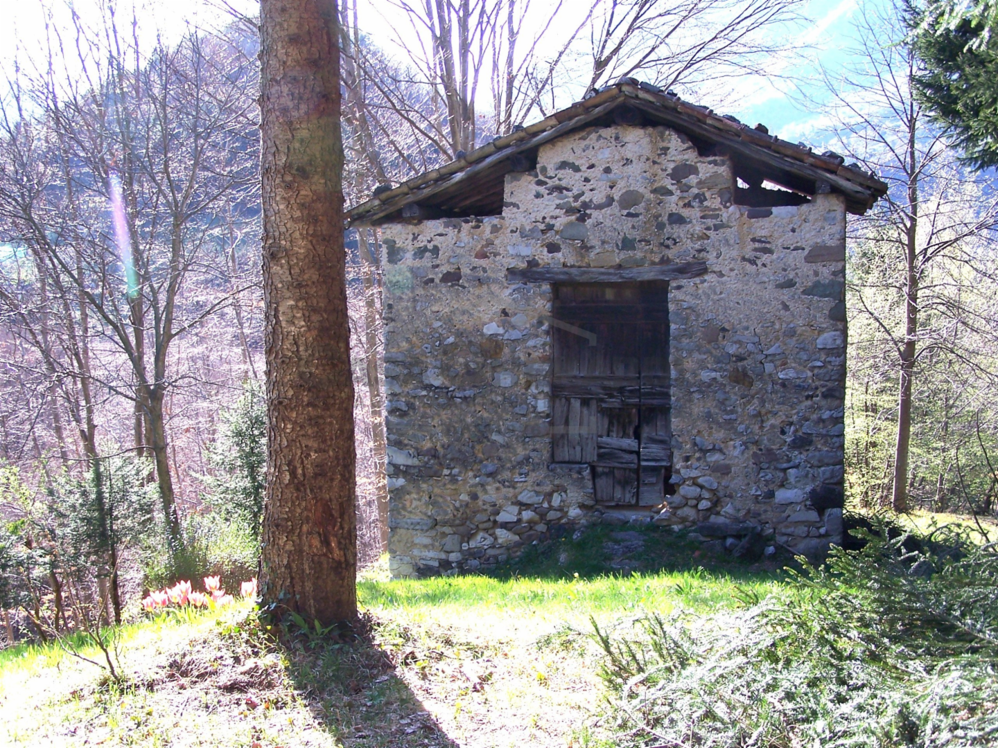 immagine annuncio 7 di 8